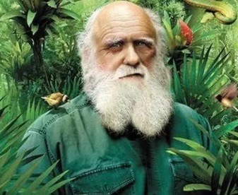 网络配图 网络配图