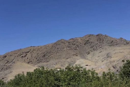 网络图片(侵删) 网络图片(侵删)