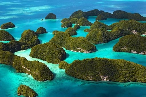 网络图片(侵删) 网络图片(侵删)