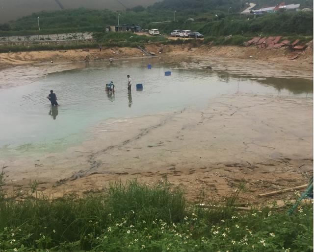 网络图片(侵删) 网络图片(侵删)