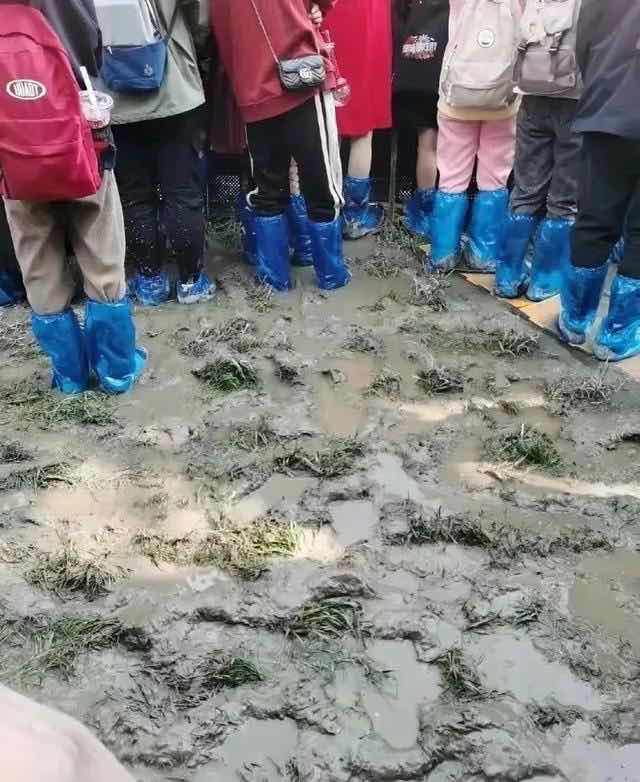 网络图片(侵删) 网络图片(侵删)