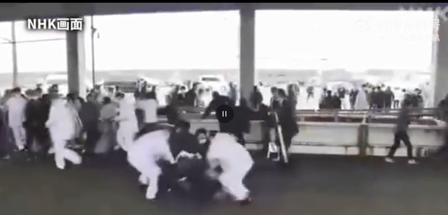 网络图片(侵删) 网络图片(侵删)