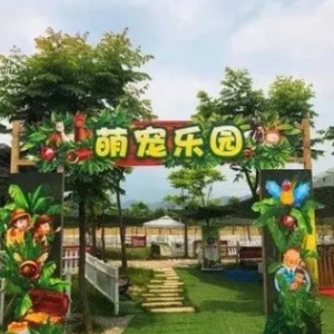 网络图片(侵删) 网络图片(侵删)