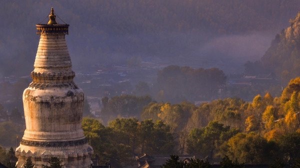 网络图片(侵删) 网络图片(侵删)