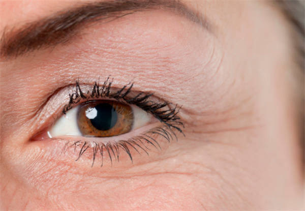 网络图片(侵删) 网络图片(侵删)