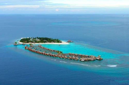 网络图片(侵删) 网络图片(侵删)