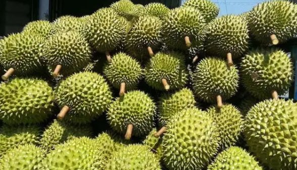 网络图片(侵删) 网络图片(侵删)