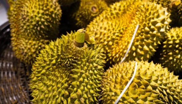 网络图片(侵删) 网络图片(侵删)