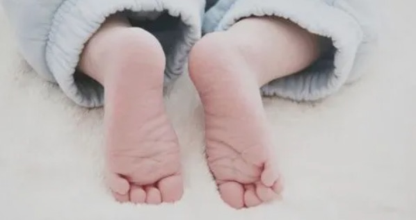 网络图片(侵删) 网络图片(侵删)