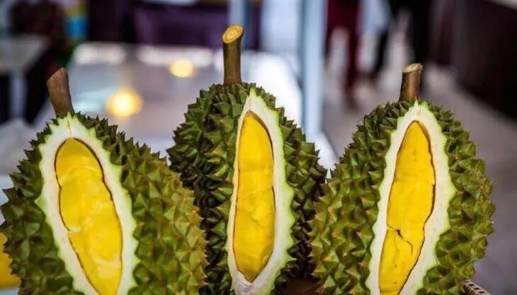 网络图片(侵删) 网络图片(侵删)