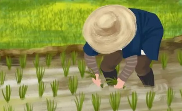 网络图片(侵删) 网络图片(侵删)