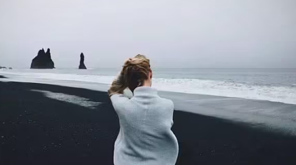 网络图片(侵删) 网络图片(侵删)