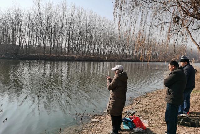 网络图片(侵删) 网络图片(侵删)