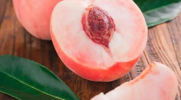 网络图片(侵删) 网络图片(侵删)