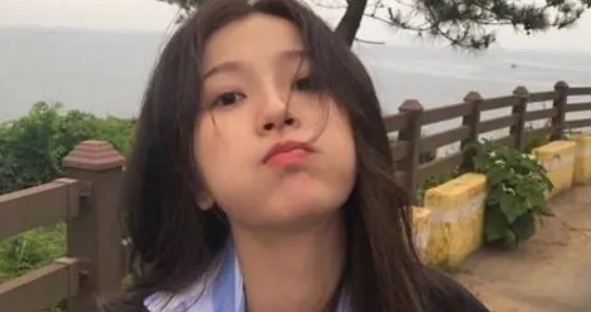 网络图片(侵删) 网络图片(侵删)