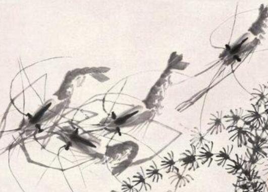 网络配图 网络配图