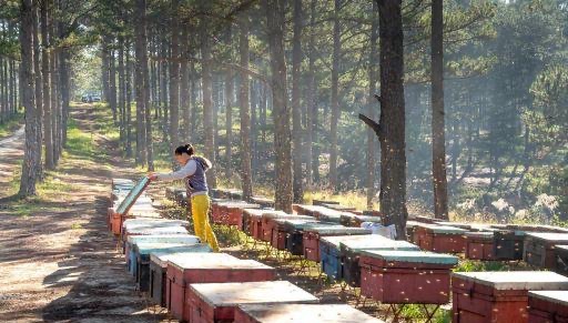 网络配图 网络配图