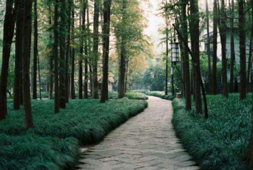 网络图片(侵删) 网络图片(侵删)