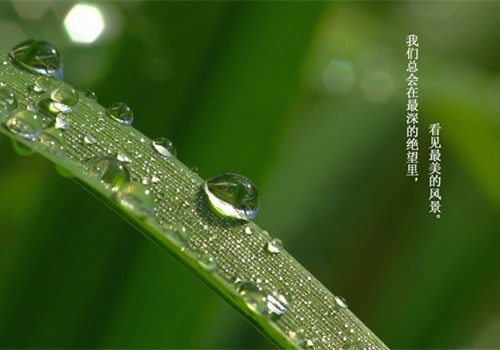 网络配图 网络配图