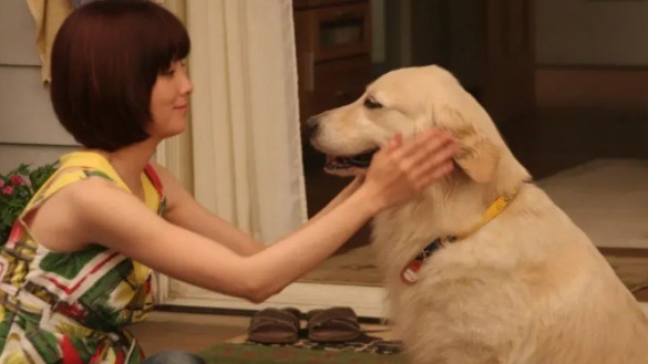 网络配图 网络配图