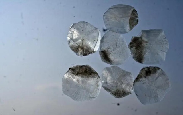 网络图片(侵删) 网络图片(侵删)