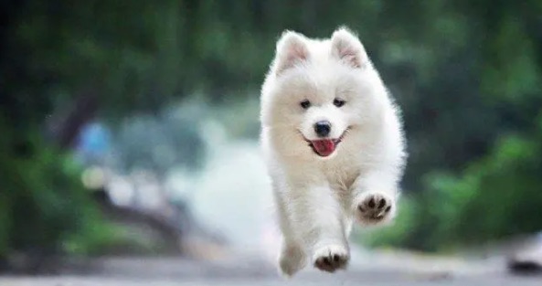 网络图片(侵删) 网络图片(侵删)