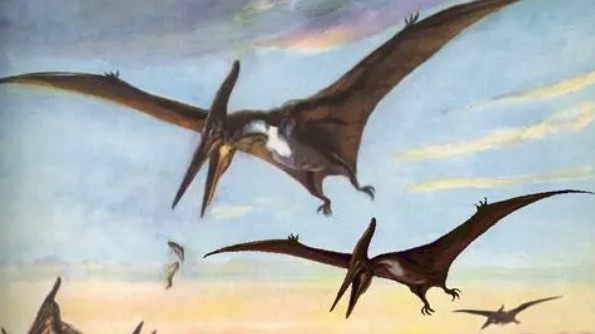 网络图片(侵删) 网络图片(侵删)