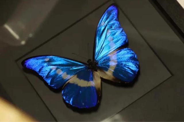 网络图片(侵删) 网络图片(侵删)