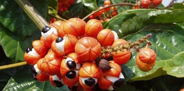 网络图片(侵删) 网络图片(侵删)