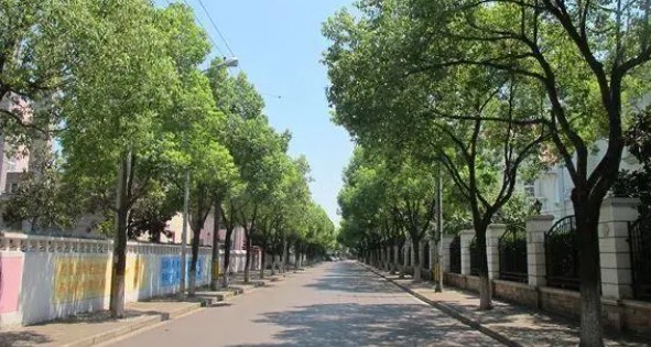 网络图片(侵删) 网络图片(侵删)