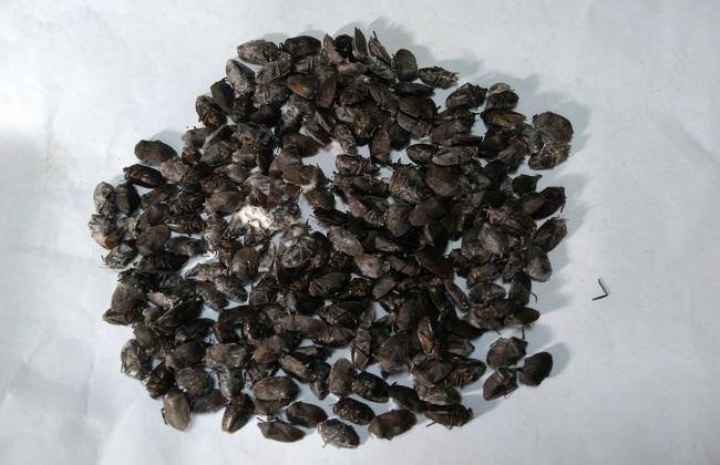 网络配图 网络配图