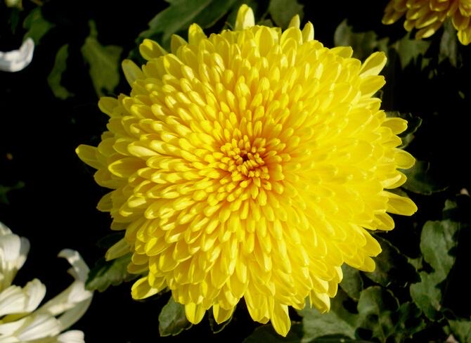 网络配图 网络配图