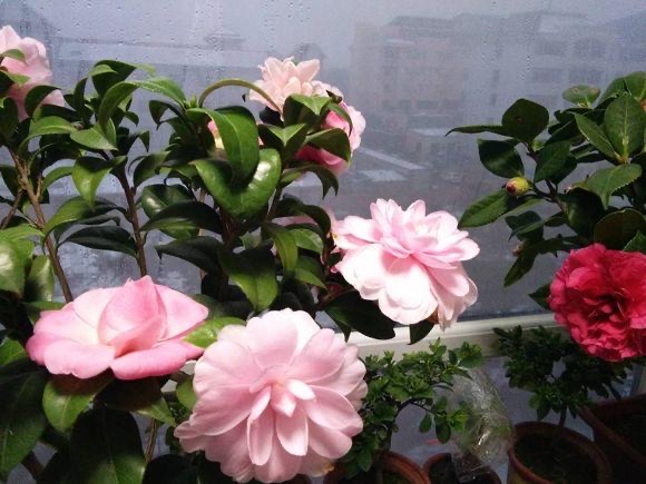 网络配图 网络配图