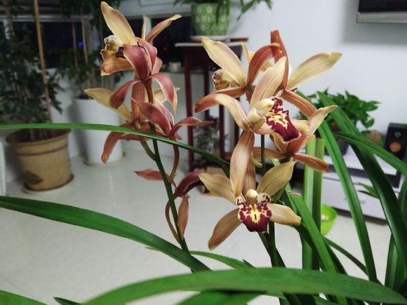 网络配图 网络配图