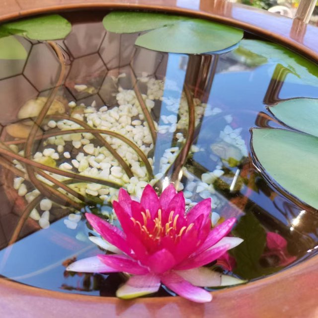 网络配图 网络配图