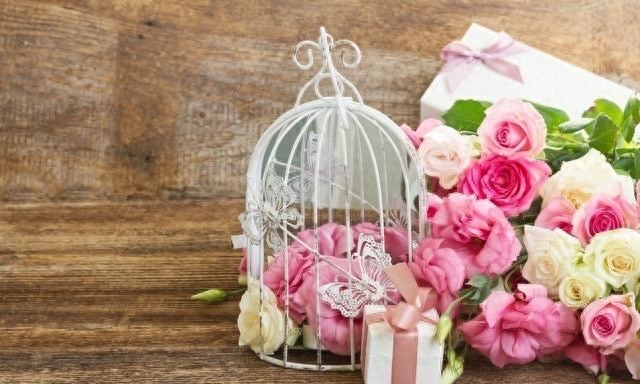 网络配图 网络配图