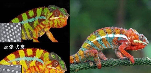 网络配图 网络配图