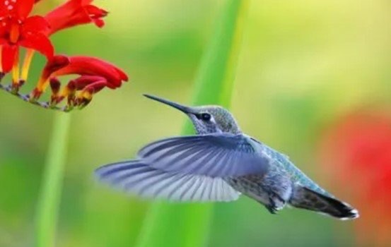 网络配图 网络配图