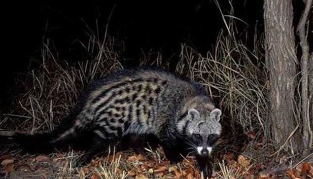 网络配图 网络配图