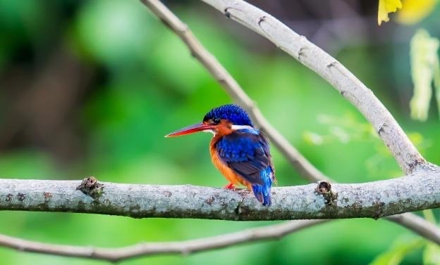 网络配图 网络配图