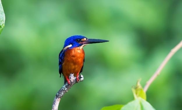 网络配图 网络配图