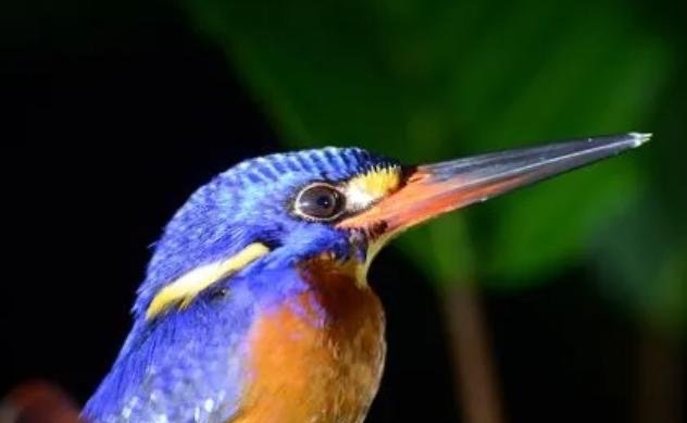 网络配图 网络配图