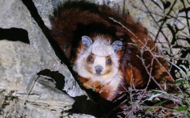 网络配图 网络配图