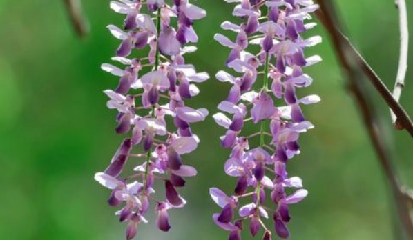 网络配图 网络配图