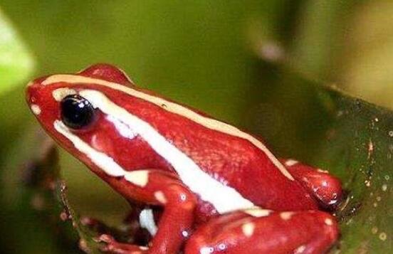 网络配图 网络配图