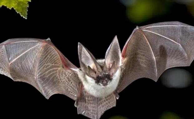 网络配图 网络配图