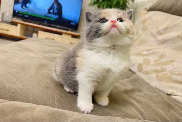 网络配图 网络配图