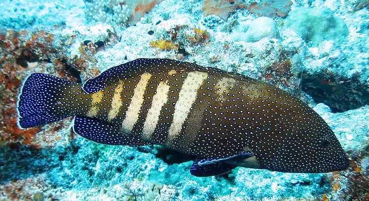 网络配图 网络配图