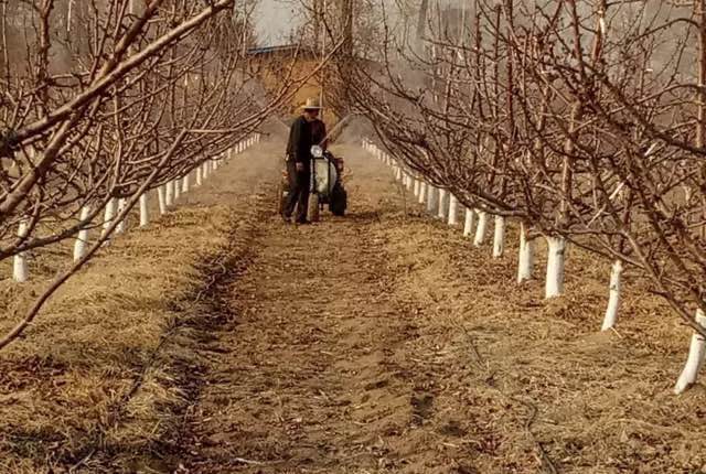 网络配图 网络配图