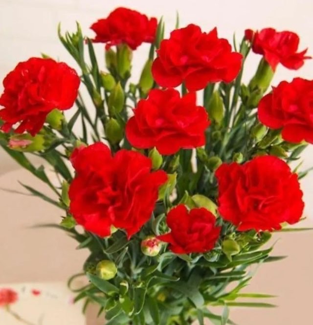 网络配图 网络配图